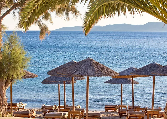 酒店 Delight Boutique - Small Luxury Of The World (adults Only) 5*