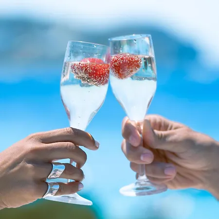 Delight Boutique - Small Luxury Of The World (adults Only) Отель Agios Ioannis Diakoftis