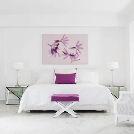 Delight Boutique - Small Luxury Of The World (adults Only) 5* Agios Ioannis Diakoftis